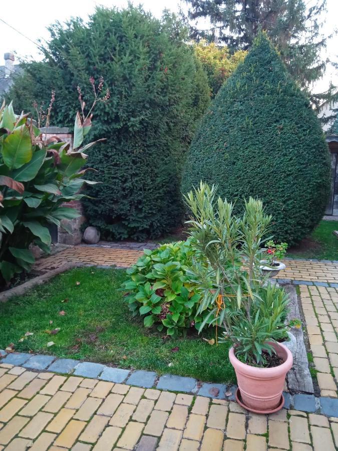 Veranda Vendeghaz Kismaros Dış mekan fotoğraf