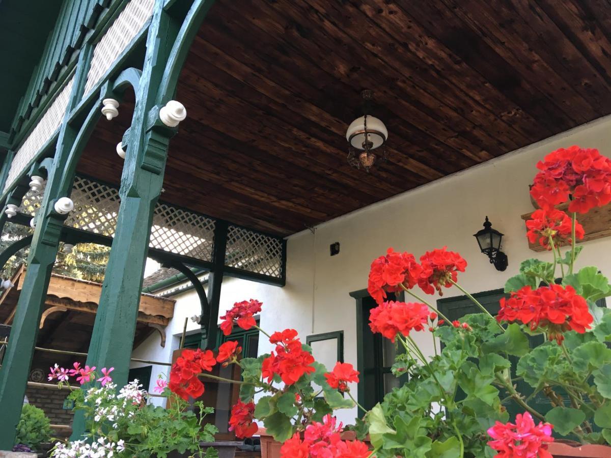 Veranda Vendeghaz Kismaros Dış mekan fotoğraf